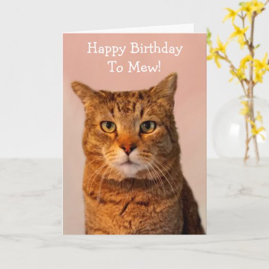 Cat Jokes Funny Birthday Karte (Gelbe Blume)