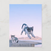 cat jump postcard postkarte (Vorderseite)