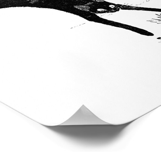 Cat Jumping in den Teich, Alexandre Steinlen Poster (Ecke)