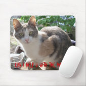 CAT: Kann ich mit der Maus helfen? Mousepad (Mit Mouse)
