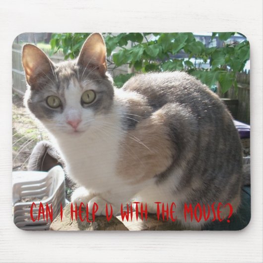 CAT: Kann ich mit der Maus helfen? Mousepad (Vorne)