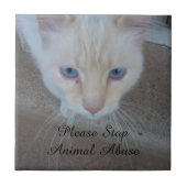 Cat Keramik Tile Fliese (Vorderseite)