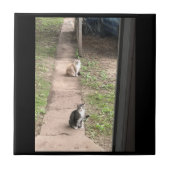 Cat Keramik Tile Fliese (Vorderseite)