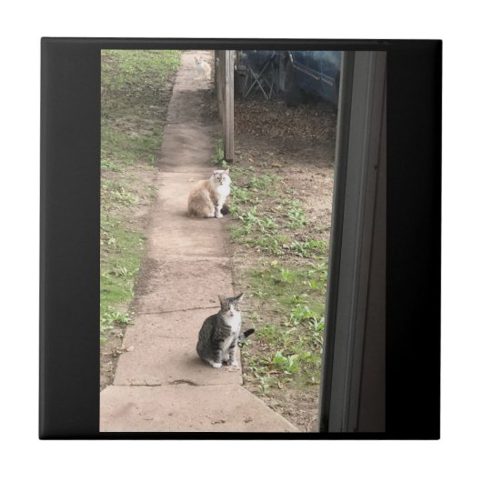 Cat Keramik Tile Fliese (Vorderseite)