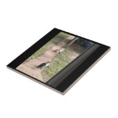 Cat Keramik Tile Fliese (Seite)