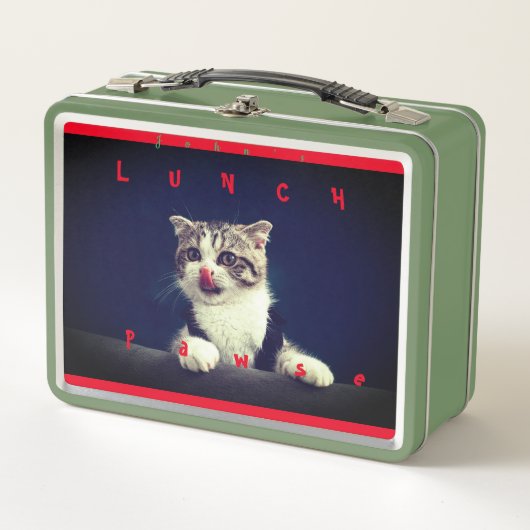 Cat Kitten Animal Fun Metal Lunch Box (Vorderseite)