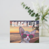 CAT KITTEN AUF STRANDSUGLASSEN Postkarten (Stehend Vorderseite)