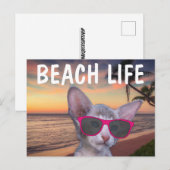 CAT KITTEN AUF STRANDSUGLASSEN Postkarten (Vorne/Hinten)