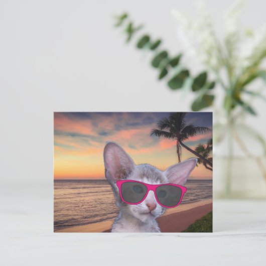 CAT KITTEN AUF STRANDSUGLASSEN Postkarten (Stehend Vorderseite)