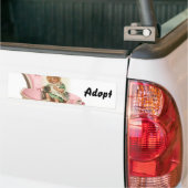 Cat Kitten Dog Adoptiere Autoaufkleber (Auf Lkw)