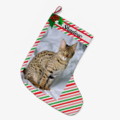 Cat Kitten Foto Niedlich Weihnachten Strumpf Name Großer Weihnachtsstrumpf (Vorderansicht (hängend))