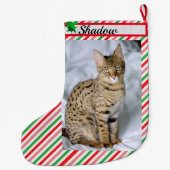 Cat Kitten Foto Niedlich Weihnachten Strumpf Name Großer Weihnachtsstrumpf (Rückseite)