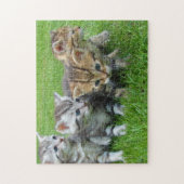Cat Kitten Fotografie Animal Pic Cat Fotograf Puzzle (Vertikal)