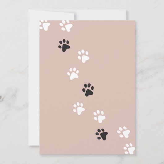 Cat Kitten Geburtstagsparty Einladung (Rückseite)