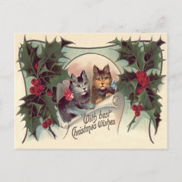 Cat Kitten Holly Postkarte
