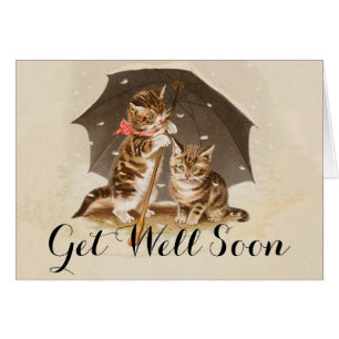 Cat Kitten kitty antiken Vintag hübsch niedlich