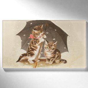 Cat Kitten kitty antiken Vintag hübsch niedlich Namenschild