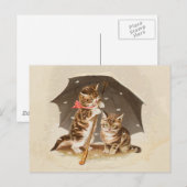 Cat Kitten kitty antiken Vintag hübsch niedlich Postkarte (Vorne/Hinten)