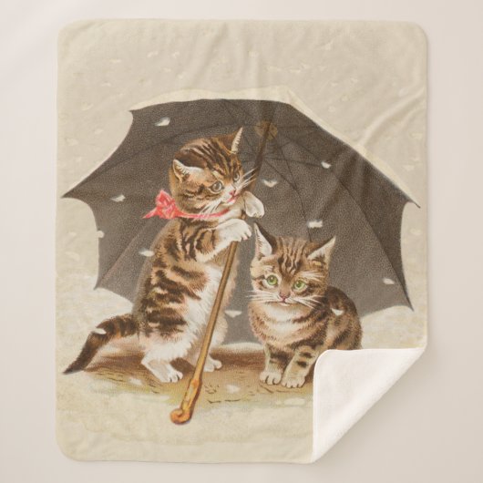 Cat Kitten kitty antiken Vintag hübsch niedlich Sherpadecke (Vorderseite)