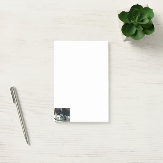 Cat Kitten Notes Post-it Klebezettel (Büro)