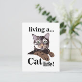 Cat Kitty Funny Postkarte (Stehend Vorderseite)