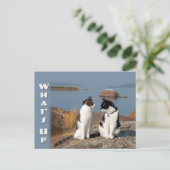 Cat-Konversation Postkarte (Stehend Vorderseite)