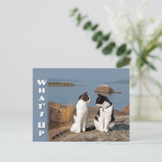 Cat-Konversation Postkarte (Stehend Vorderseite)