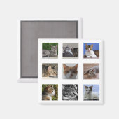 Cat Kühlschrank Magnet (Vorderseite/Rückseite)