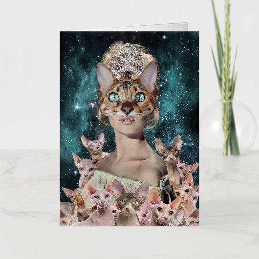 Cat Lady (Vorderseite)