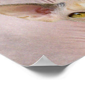 Cat Lady Poster (Ecke)