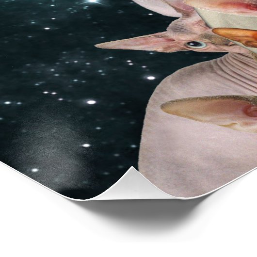 Cat Lady Poster (Ecke)