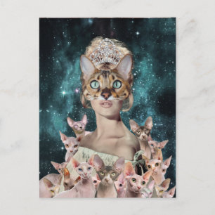 Cat Lady Postkarte