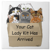 Cat Lady Starter Kit Fliese (Vorderseite)