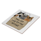 Cat Lady Starter Kit Fliese (Seite)