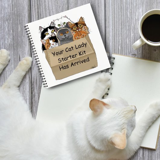 Cat Lady Starter Kit Notizblock