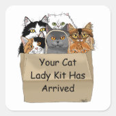 Cat Lady Starter Kit Quadratischer Aufkleber (Vorderseite)