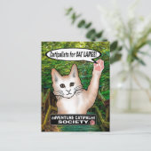 Cat Ladys Cat Postcard Postkarte (Stehend Vorderseite)