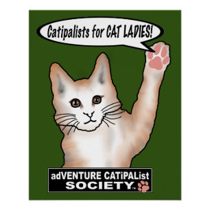 Cat Ladys Cat Poster