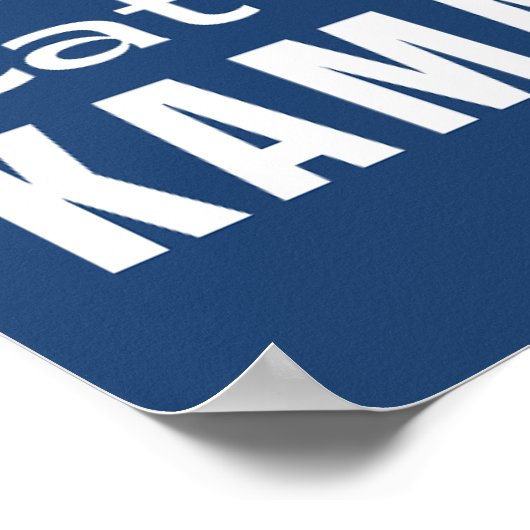 Cat Ladys for Kamala Harris President 2024 Poster (Ecke)