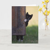 Cat leere Karte - Beileid, danke, Geburtstag! (Gelbe Blume)