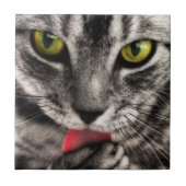 Cat Lick Fliese (Vorderseite)
