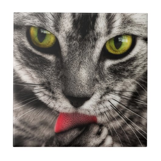 Cat Lick Fliese (Vorderseite)