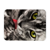 Cat Lick Magnet (Horizontal)