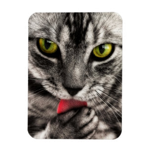 Cat Lick Magnet