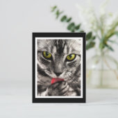 Cat Lick Postkarte (Stehend Vorderseite)