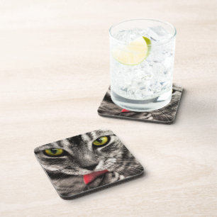 Cat Lick Untersetzer