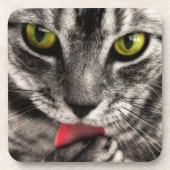 Cat Lick Untersetzer (Vorderseite)
