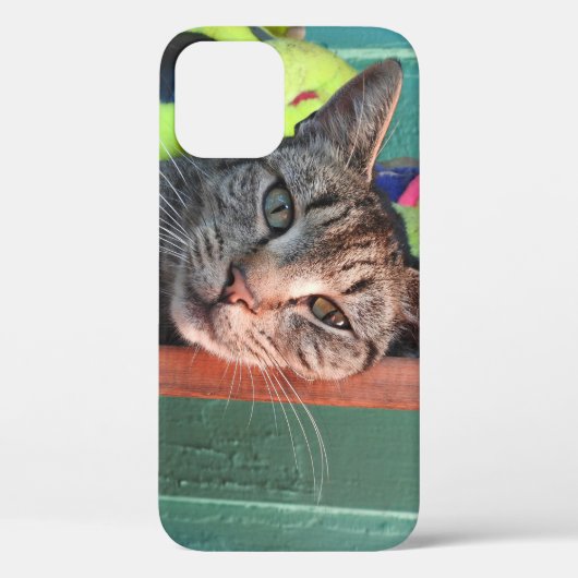 Cat-Liebe Case-Mate iPhone Hülle (Rückseite)