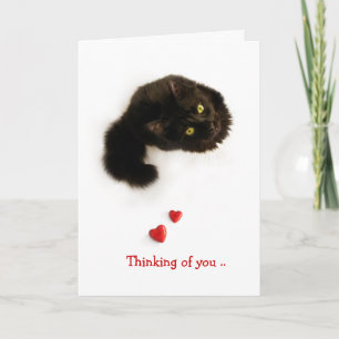 Cat Liebe Denken Sie an Ihre Karte