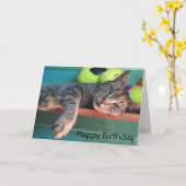 Cat Liebe "Happy Birthday" Karte (Gelbe Blume)